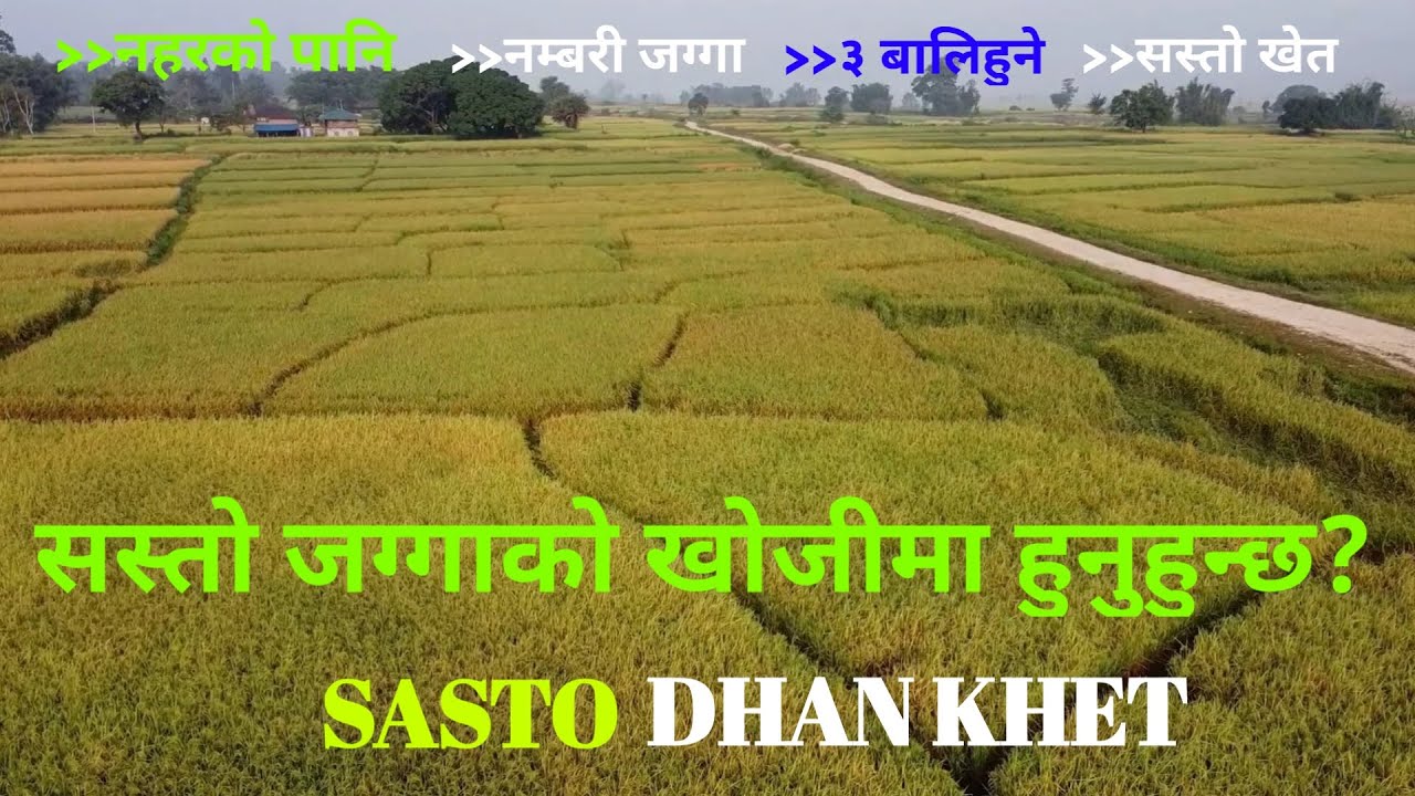 sasto ma ramro khet bikrima | land sale in nepal | 3rdeye33.
