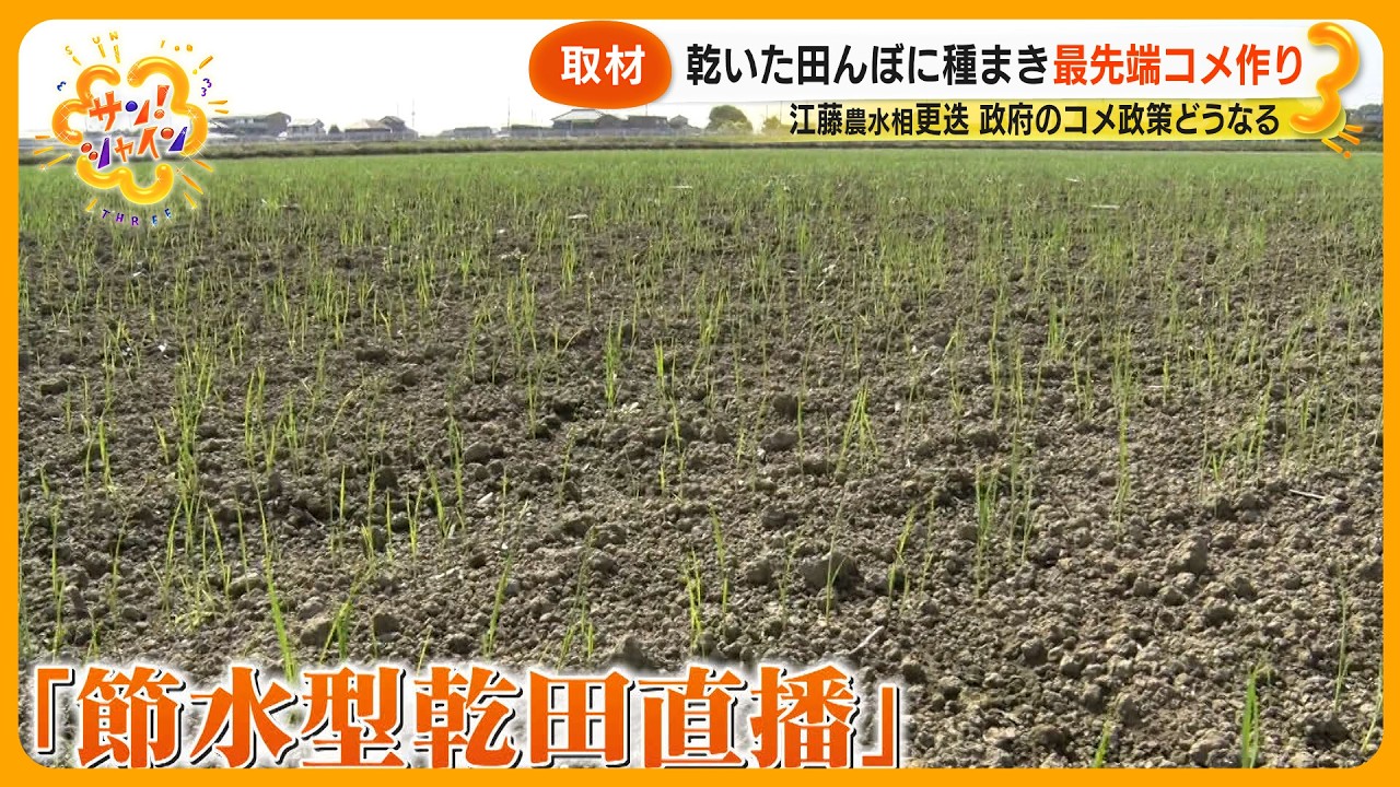 【取材】乾いた田でコメ作り｢節水型乾田直播｣とは？ そのメリットデメリットとは？お味は？【サン！シャインニュース】