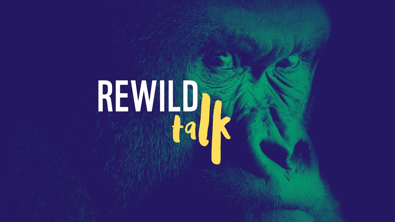 Rewild Talk - con Marco Galaverni, Emilio Mancuso e Giulia Giacomucci