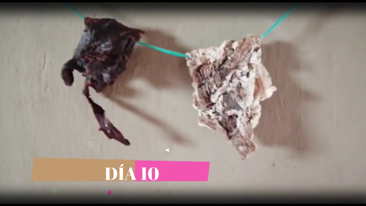 M&eacute;todo de conservaci&oacute;n de alimentos por salaz&oacute;n