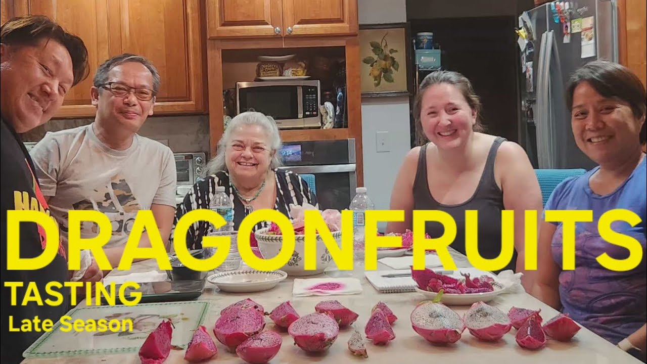 Dragonfruit Tasting October 2025