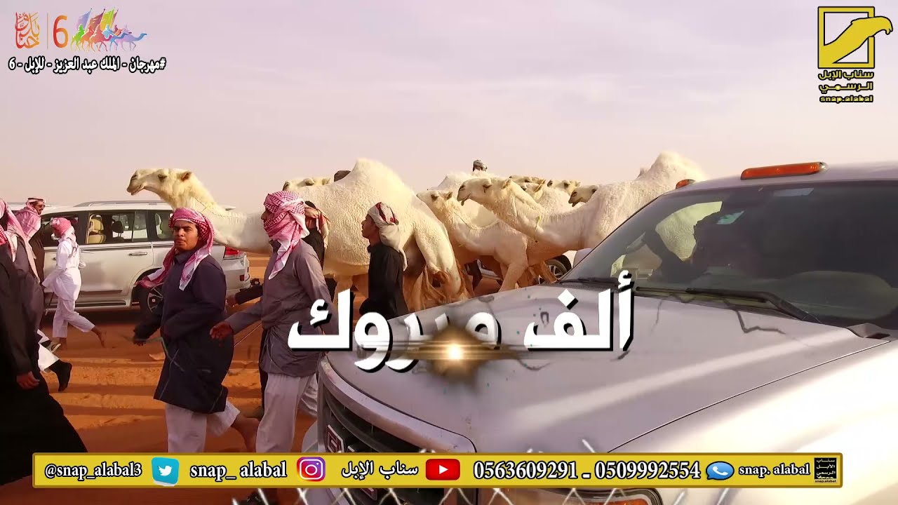 مسيرة خروج ( الفايزات) والحاصل على المركزالرابع المالك / فهد بن عامر بن شلية السبيعي