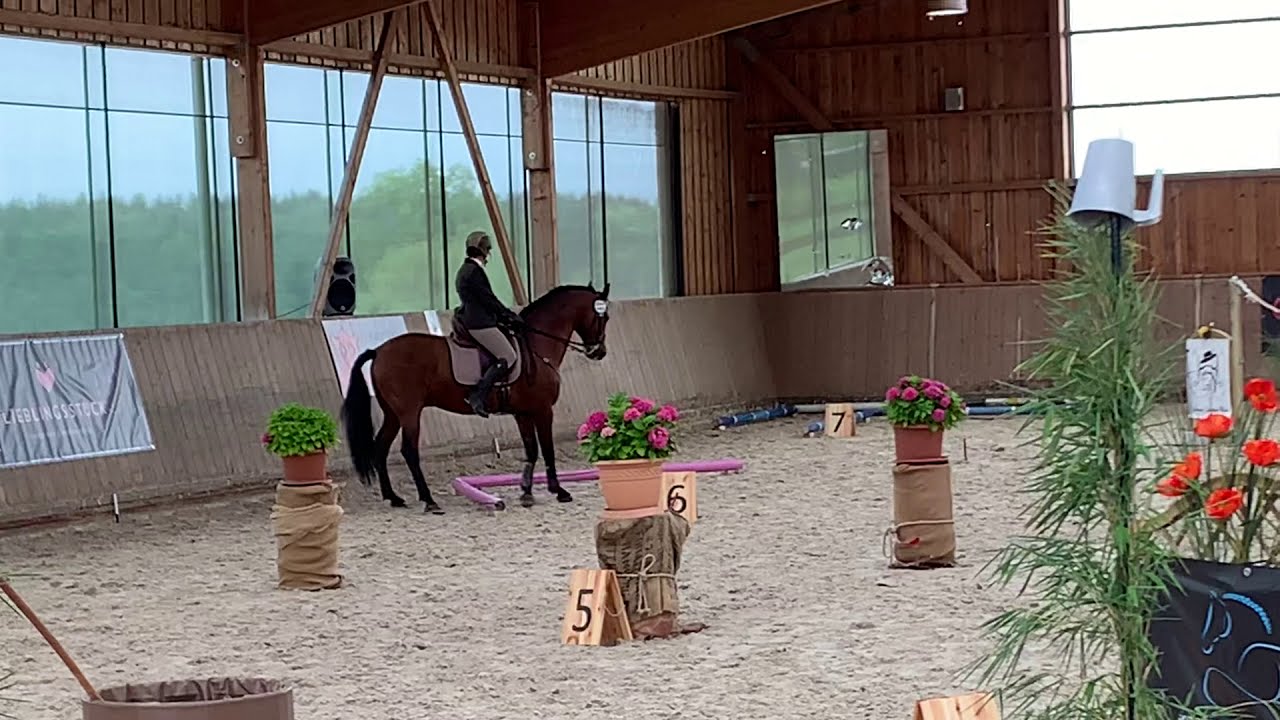 Unsere erste M in der Working Equitation - Dressurtrail