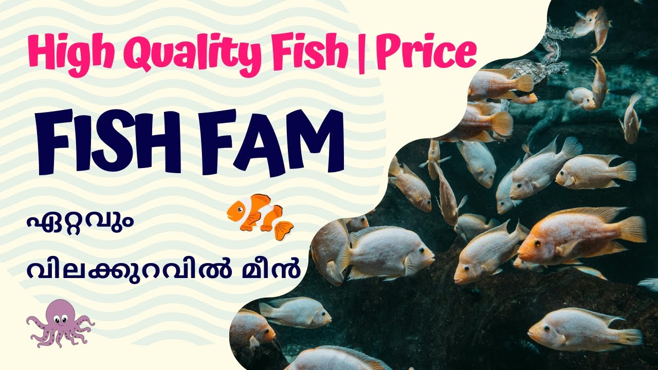 Affordable Fish Farm in Kerala🐠 | High Quality Fish | ഏറ്റവും വിലക്കുറവിൽ😳