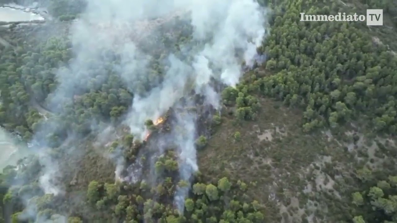 BRUCIA ANCORA IL GARGANO, INCENDIO DEVASTA LA ZONA DI SAN FELICE A VIESTE