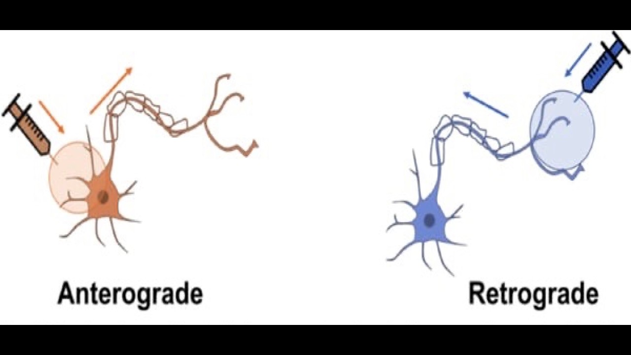 Metodi e tecniche di ricerca [3]