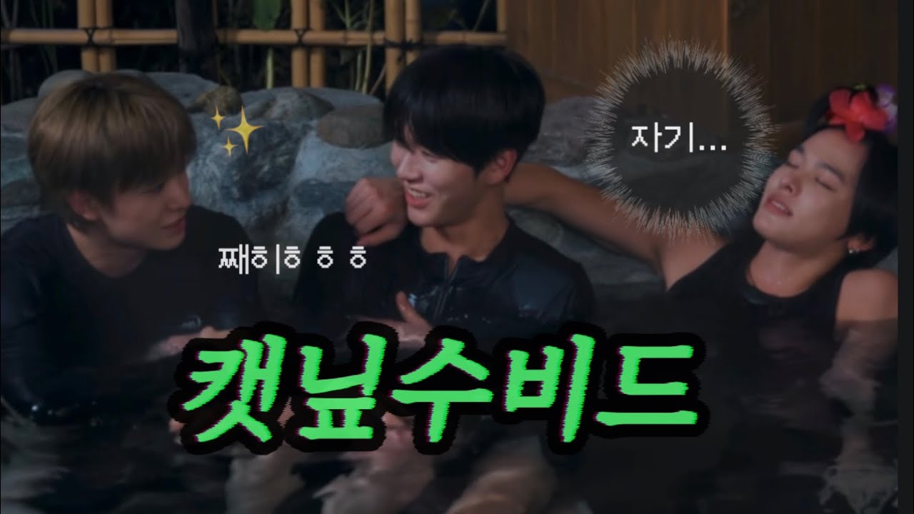 캣닢수비드 (유우시 재희 리쿠)