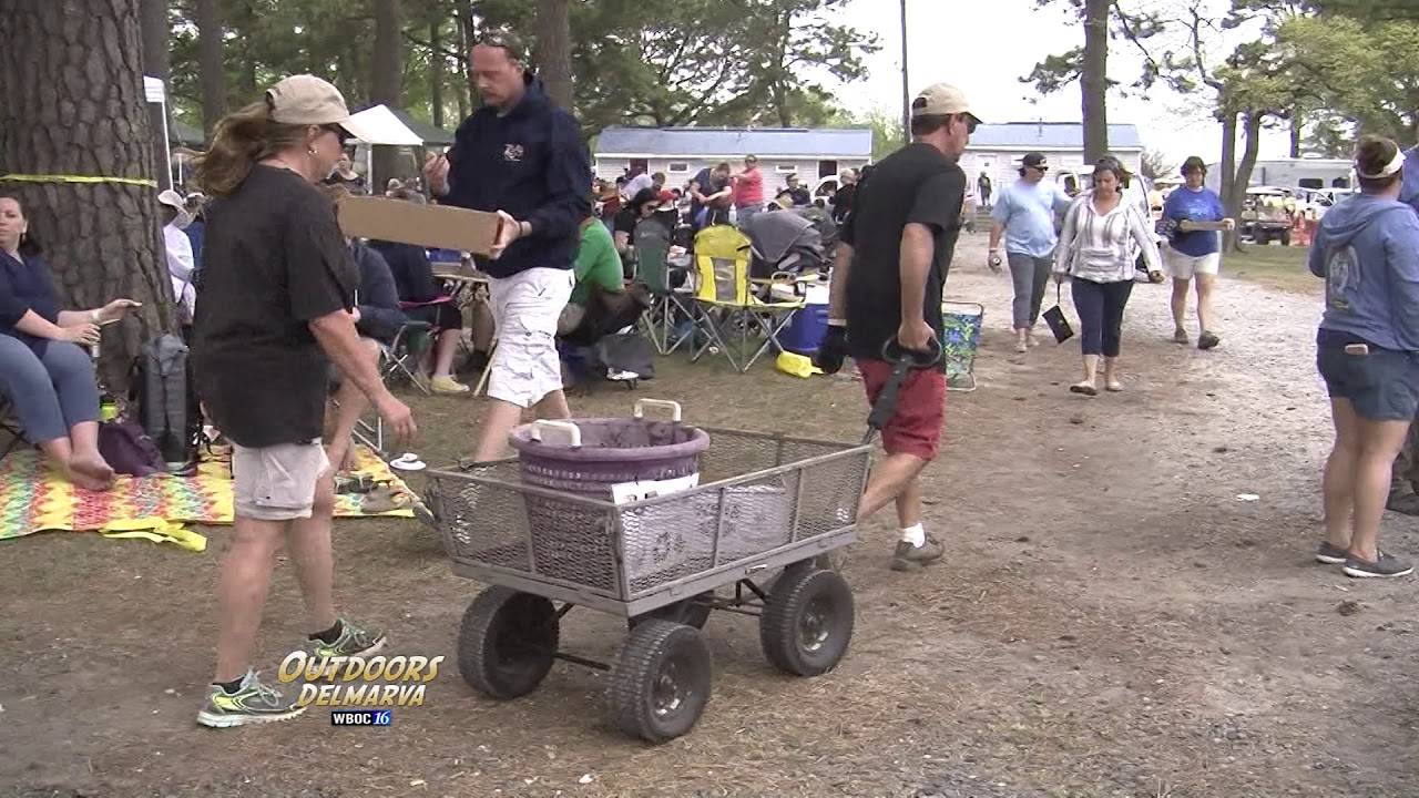 Outdoors Delmarva: Chincoteague Seafood Festival 50th Anniversary