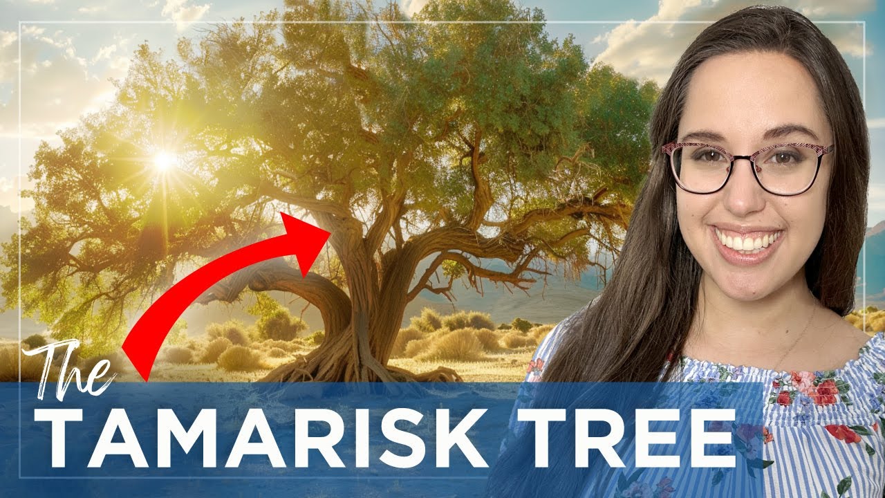 Why did Abraham plant this strange tree? - The Prophetic Nature of the Tamarisk Tree