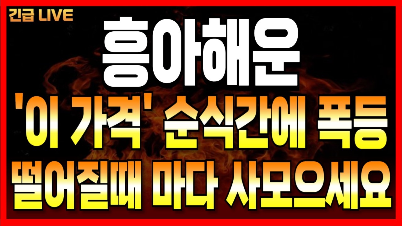 [흥아해운] 떨어질때 마다 사모으세요!! '이 가격' 순식간에 폭등