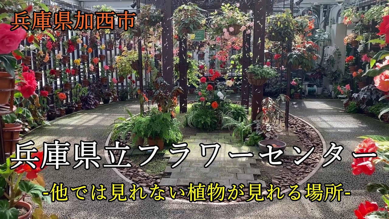 兵庫県立フラワーセンターを散策