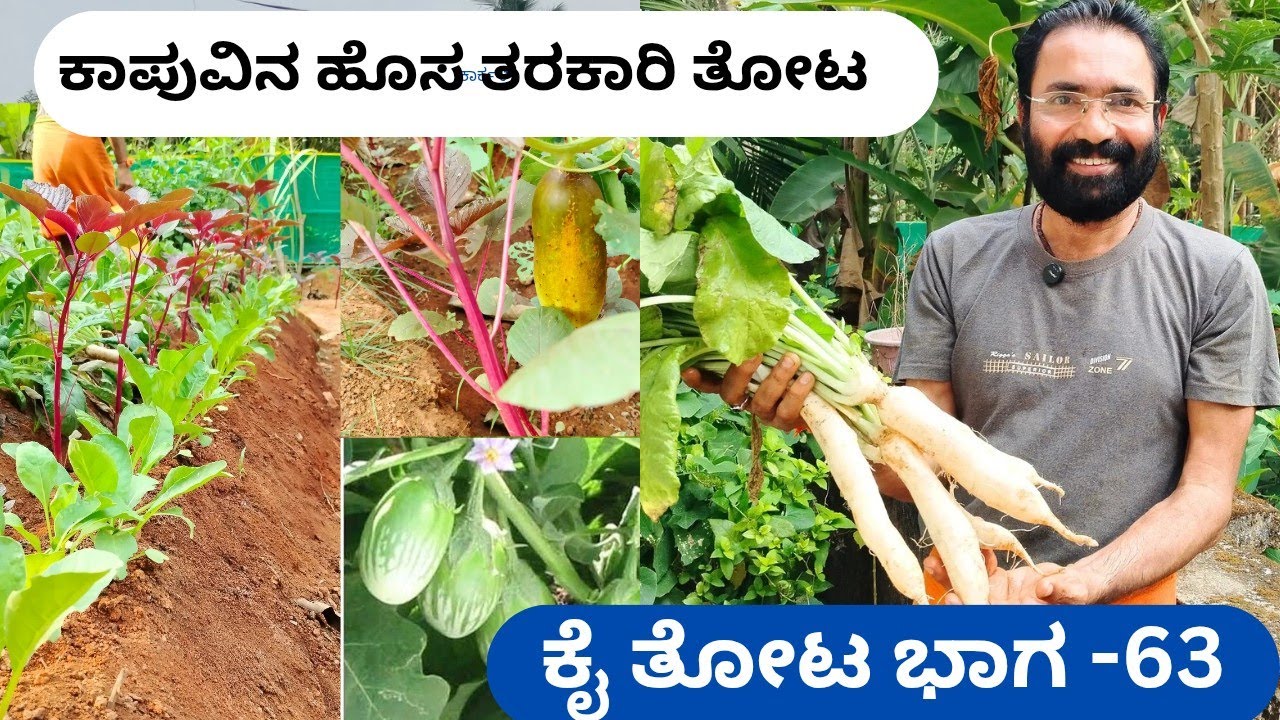 Facebook ನಲ್ಲಿ ಸಾವಿರಾರುಜನ ವೀಕ್ಷಣೆ‼️ ಶ್ರೀಧರ ಶೆಟ್ಟಿಗಾರ್ ಅವರ ಕೈತೋಟ📍ವೃತ್ತಿ ಛಾಯಾಗ್ರಹಕ ಪ್ರವೃತ್ತಿ ಯೋಗ ಧ್ಯಾನ