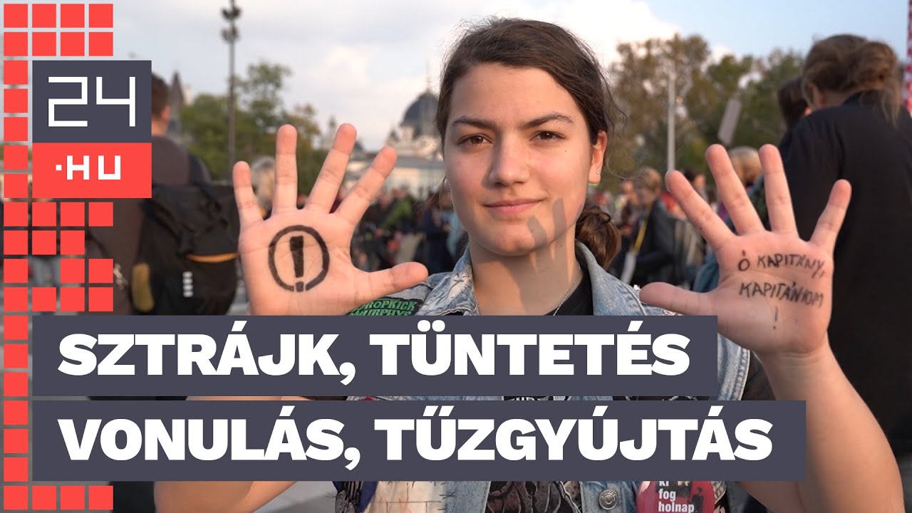 Palya Tamás: Mindig szeretem, amikor Gulyás Gergely az erkölcsről beszél | 24.hu