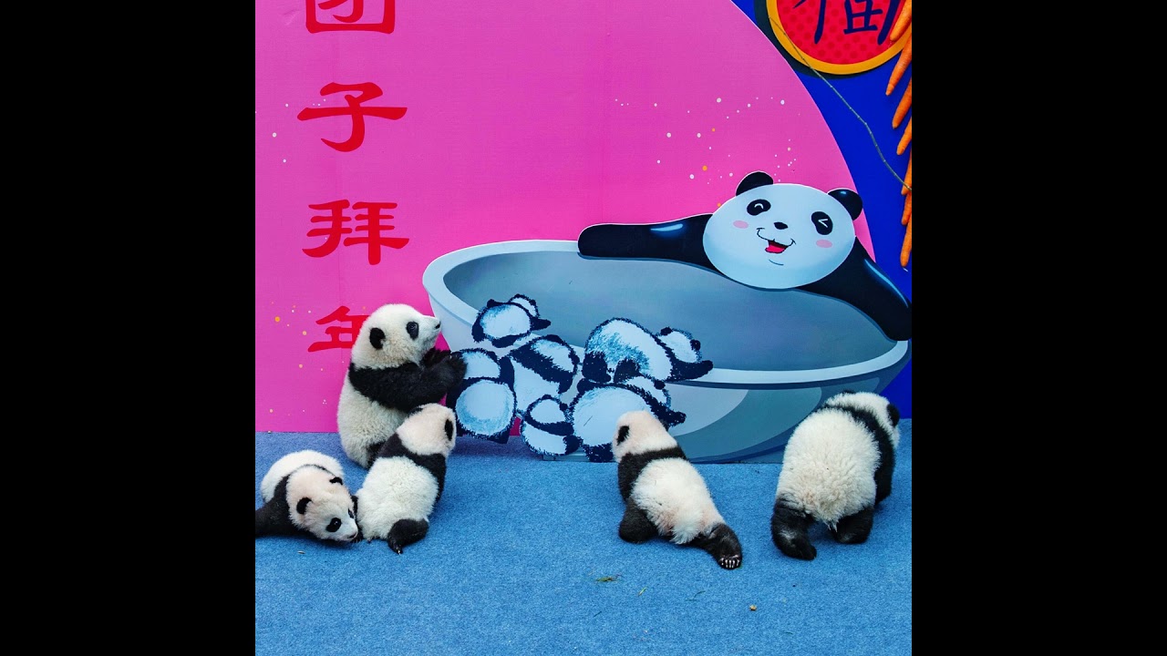 Weltst&auml;dte - Chengdu und das gem&auml;chliche Leben