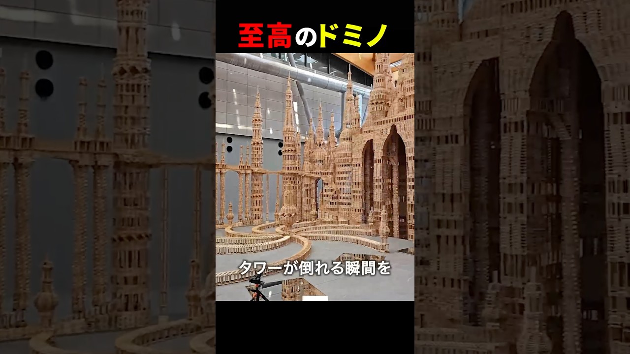 凄すぎるドミノ😳