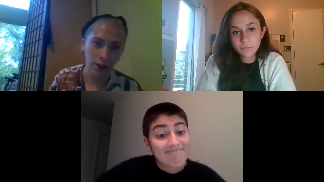 Politics Panel for Mixed Fest 2020