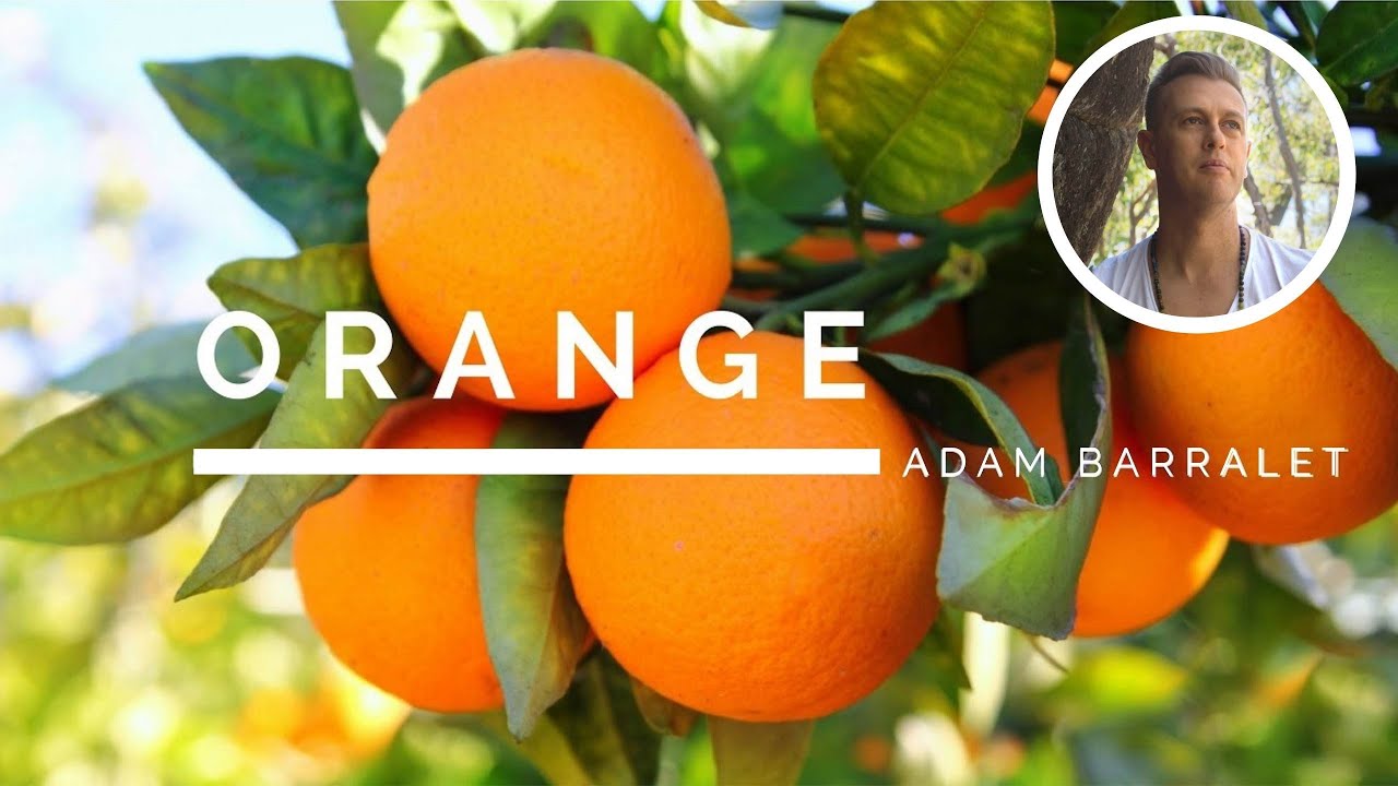 Orange - The Oil of Radiant Creation