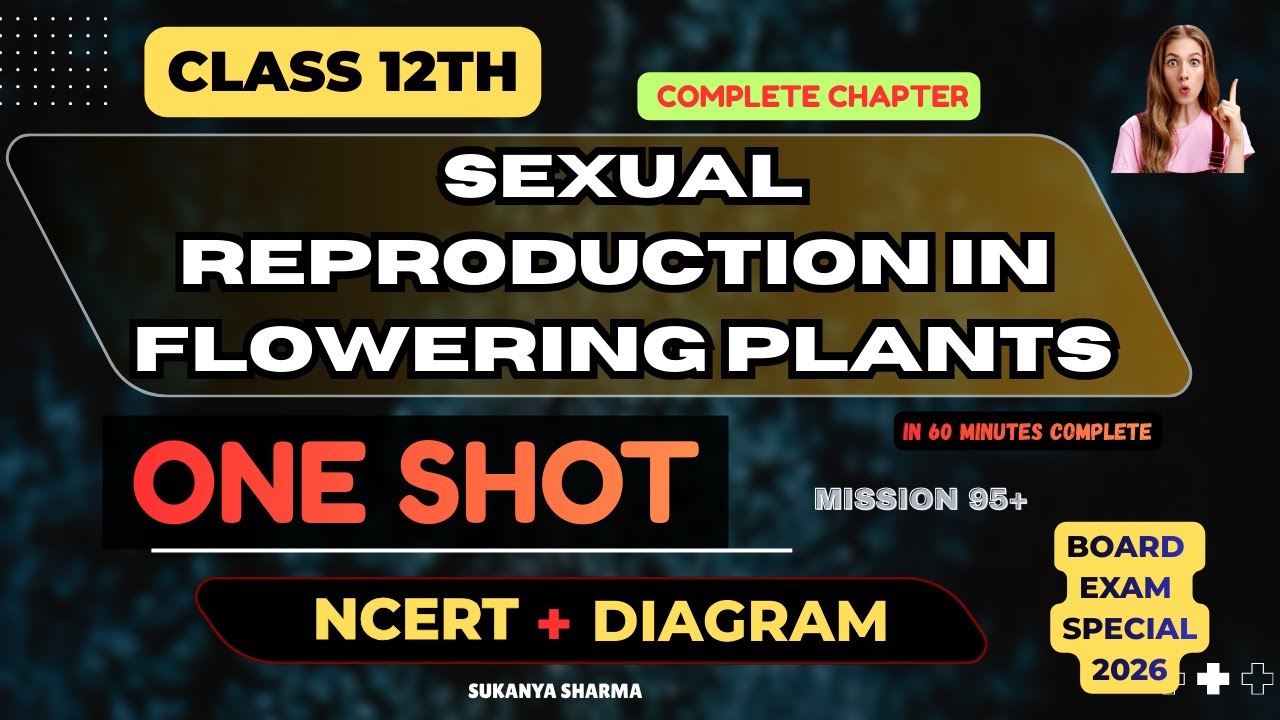 Sexual Reproduction in Flowering Plants | Class 12 Biology Ch-1 NCERT + Diagrams Board Exam Special