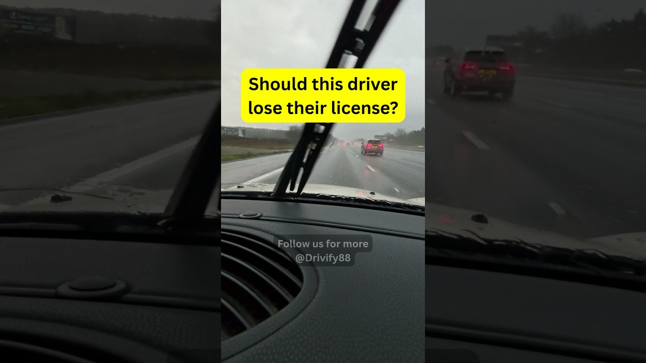 Should this driver lose their license? 