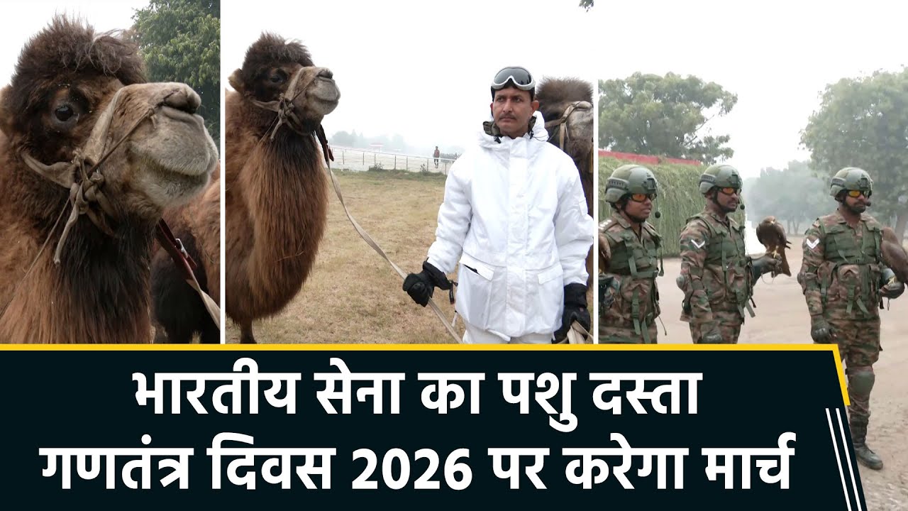 Republic Day 2026: Indian Army Animals to March on Kartavya Path | Rare & Historic Display