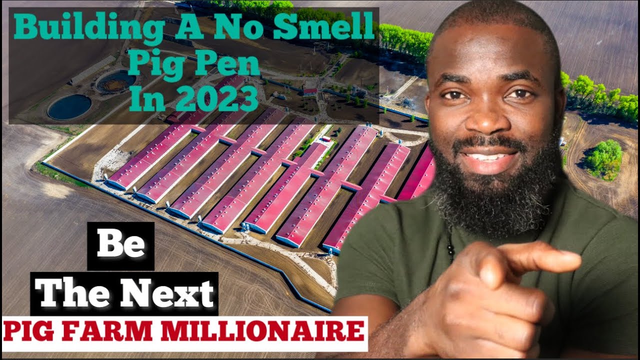 How to Build a Modern No-Smell Pig Pen in 2023