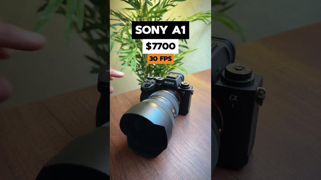 Sony A1 vs Sony a7iv #camara #reels #photography📸💯👍