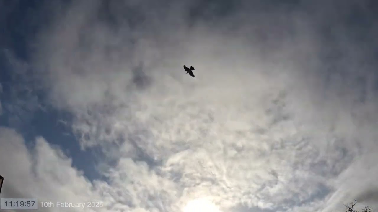 Daytime Sky Time Lapse 10th February 2026