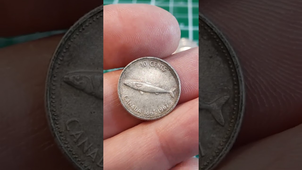 You and me go fishing at the bank. #silver #silverstacking #coinrollhunting #crypto #money #cash