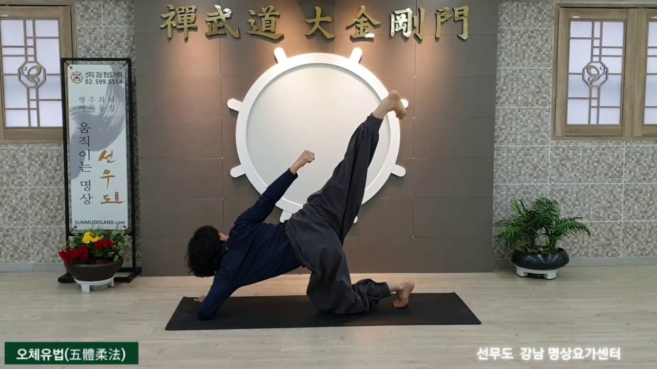 선무도/수행 오체유법1(五體柔法) 2020 Sunmudo Seoul Gangnam Ocheyubeop 1