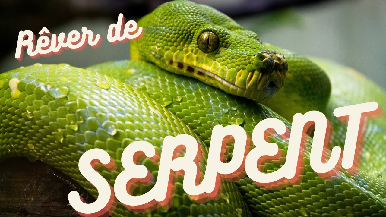Rêver de serpent
