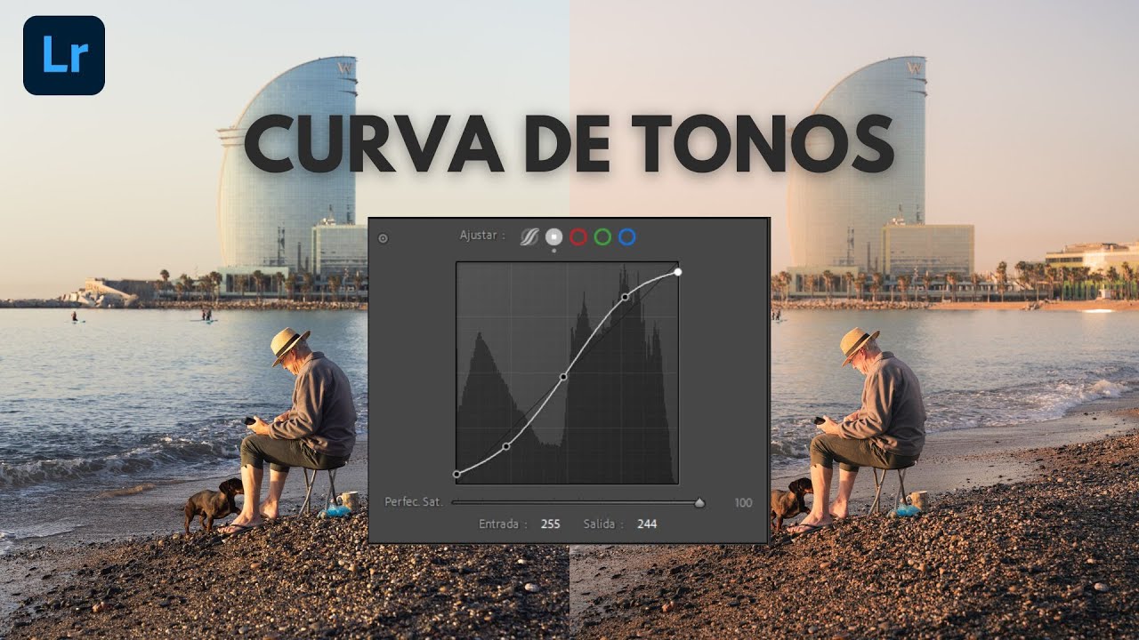 DOMINA LA CURVA DE TONOS | Guía de Lightroom definitiva #2