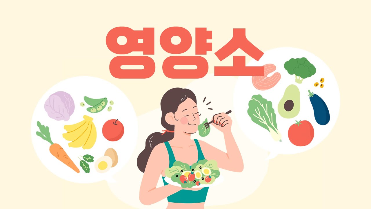 영양소 I 과학 공부 노래 I 영양소 노래 I  중2 과학