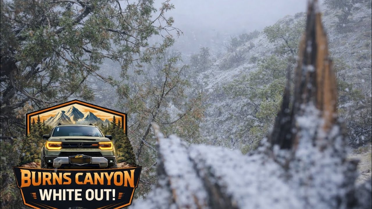 We Started in Rain Ended in a Whiteout on Burns Canyon! 🌨️🔥#OffRoad #Overlanding #BigBear #Adventure