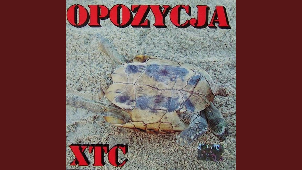 Twoje decyzje