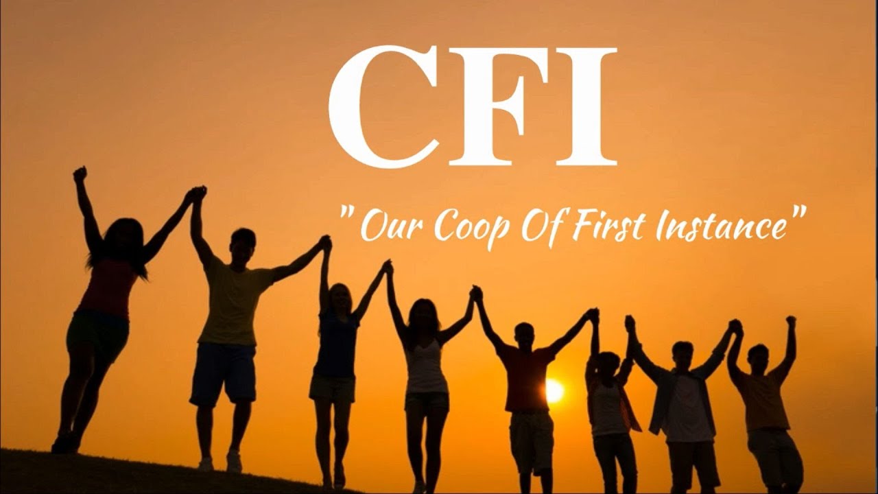 CFI Seminar Video