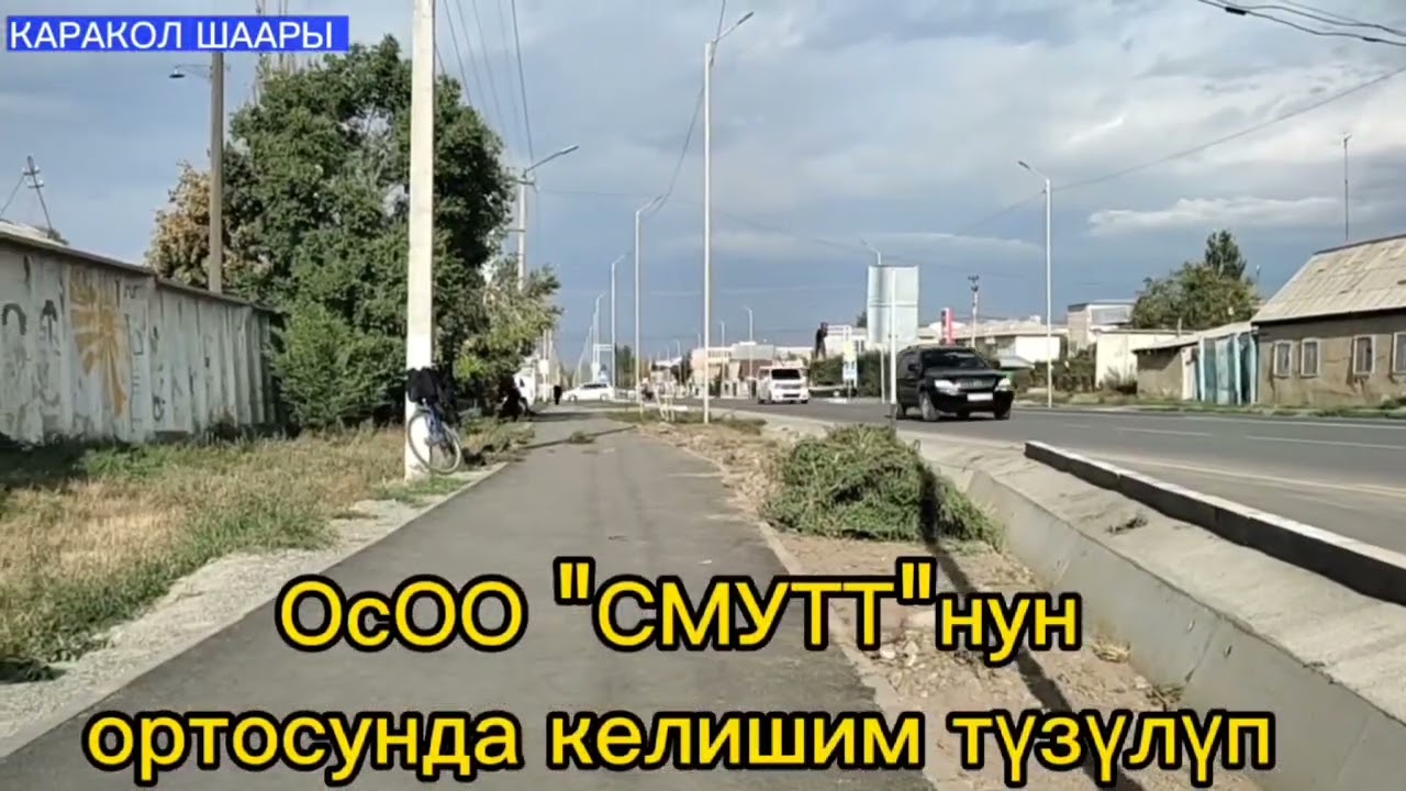 Каракол шаарынын жол четтерине газон себүү.