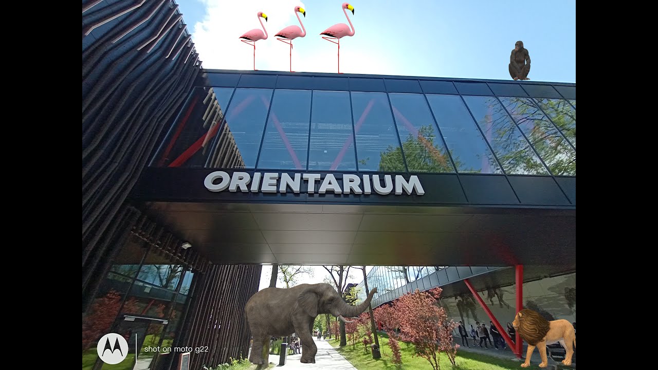 „Odkrywanie cudów Orientarium Zoo w Łodzi” #Zoo #Łódź #Orientarium #OrientariumZoo #familyfun