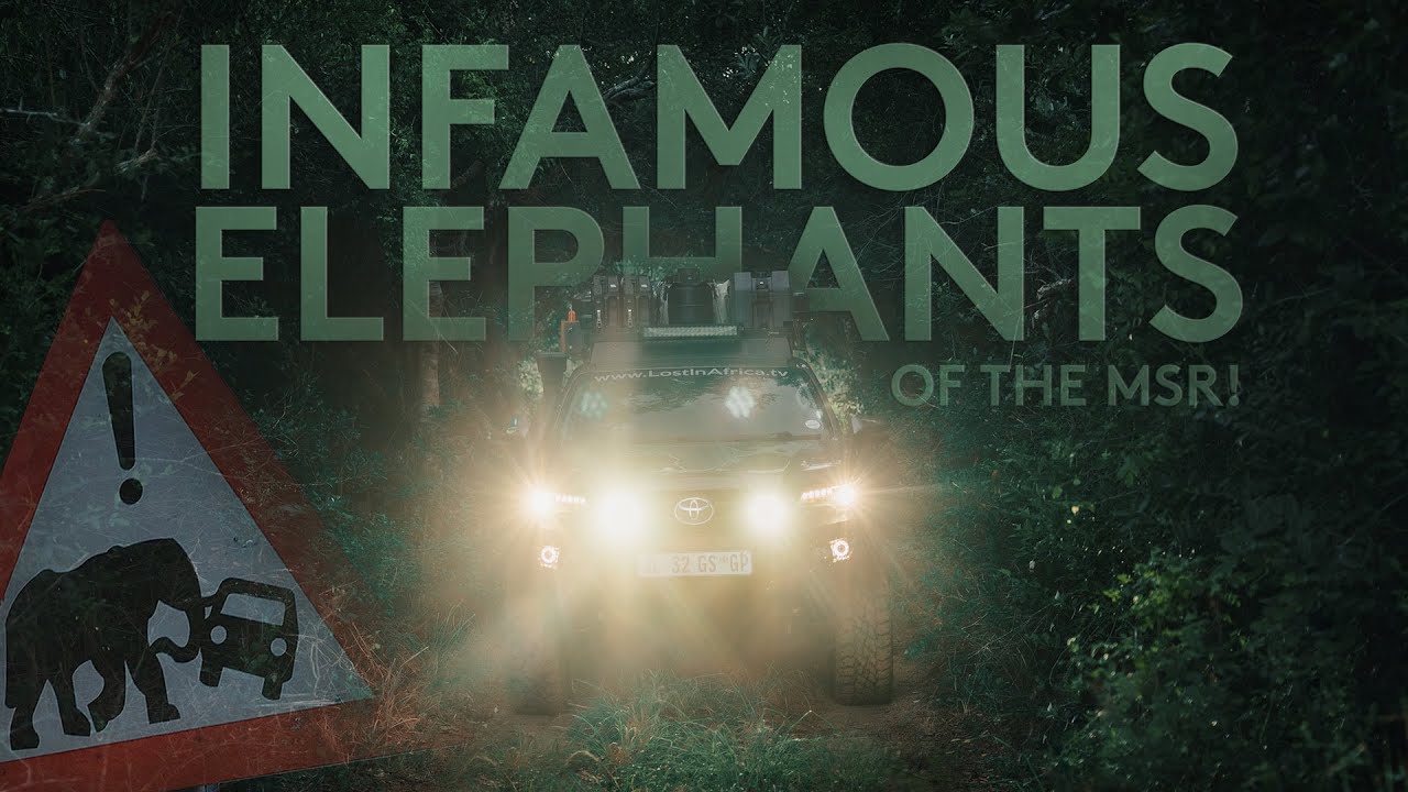 INFAMOUS ELEPHANTS of the Maputo Special Reserve - Lost in Mozambique Episode 7