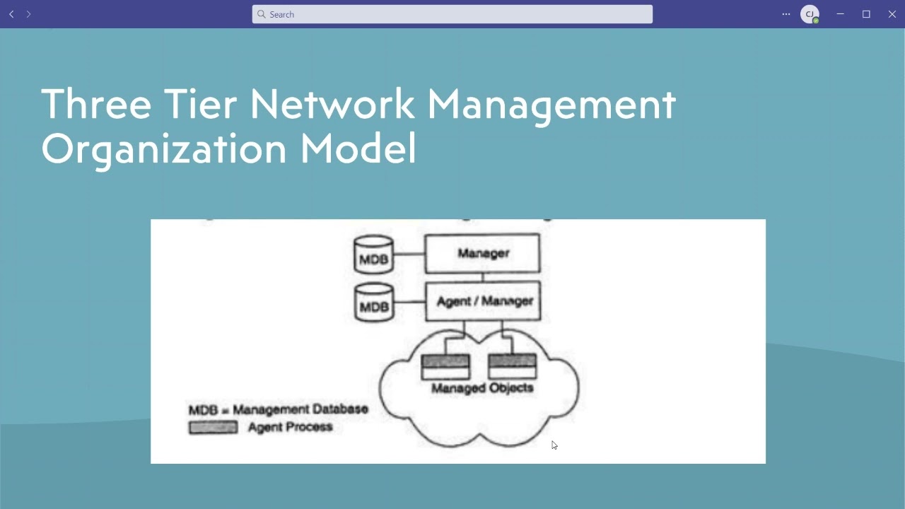 ORGANIZATION MODEL -- NETWORK MANAGEMENT MODEL