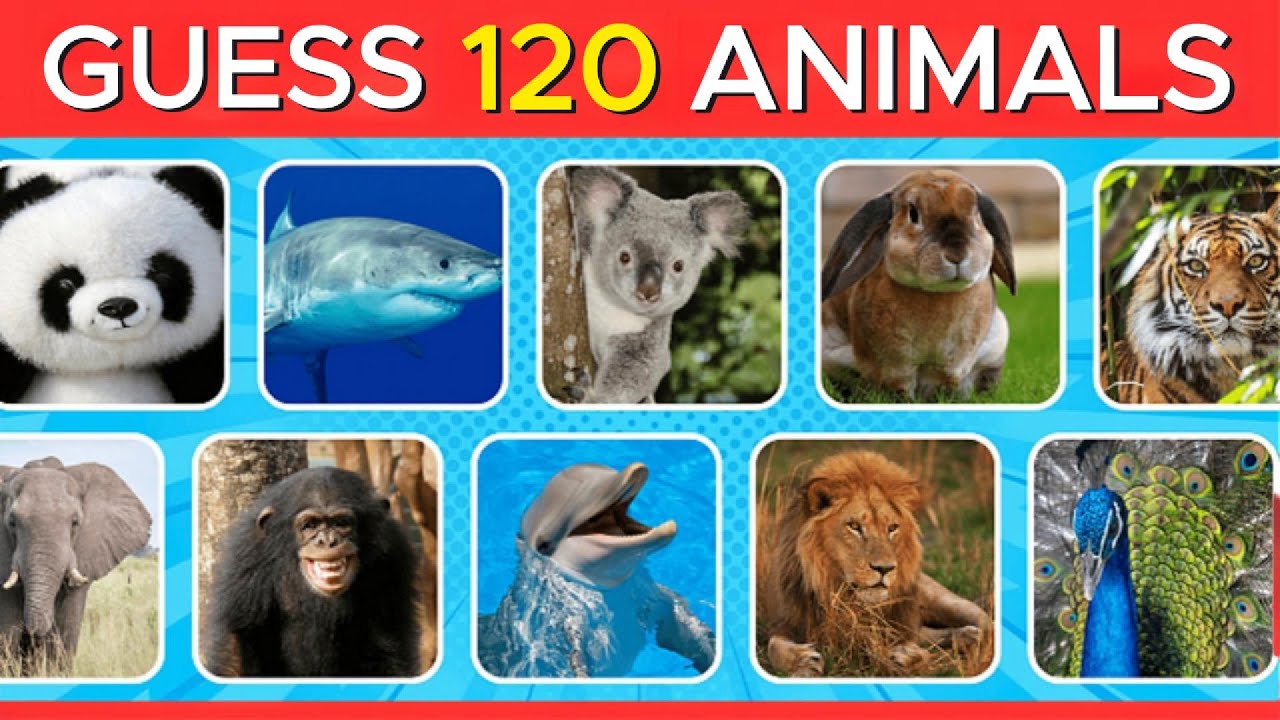 Guess 30 Animals in 5 Seconds | Easy Animal Quiz
