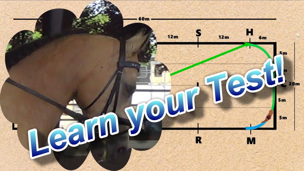 2019 USEF Training Level Test 2