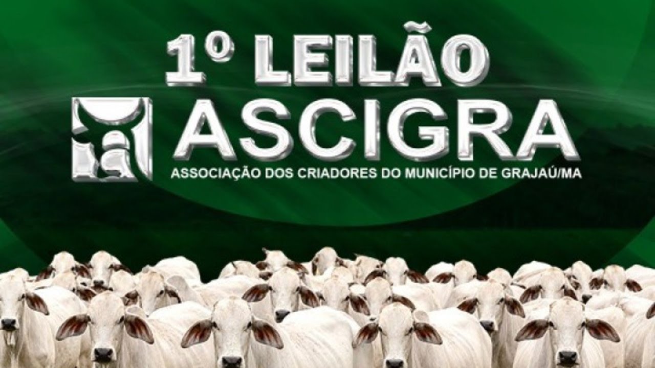 1° LEILÃO ASCIGRA - ASSOCIAÇÃO DOS CRIADORES DO MUNICÍPIO DE GRAJAÚ