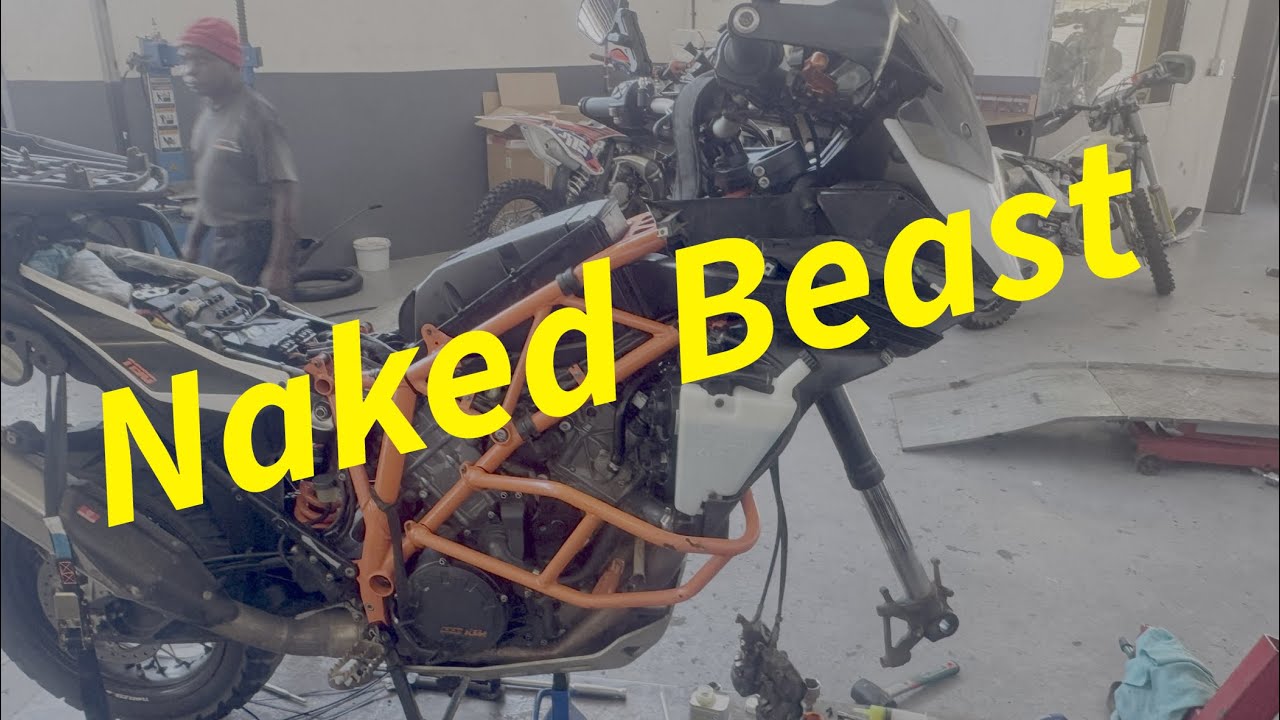 Naked beast