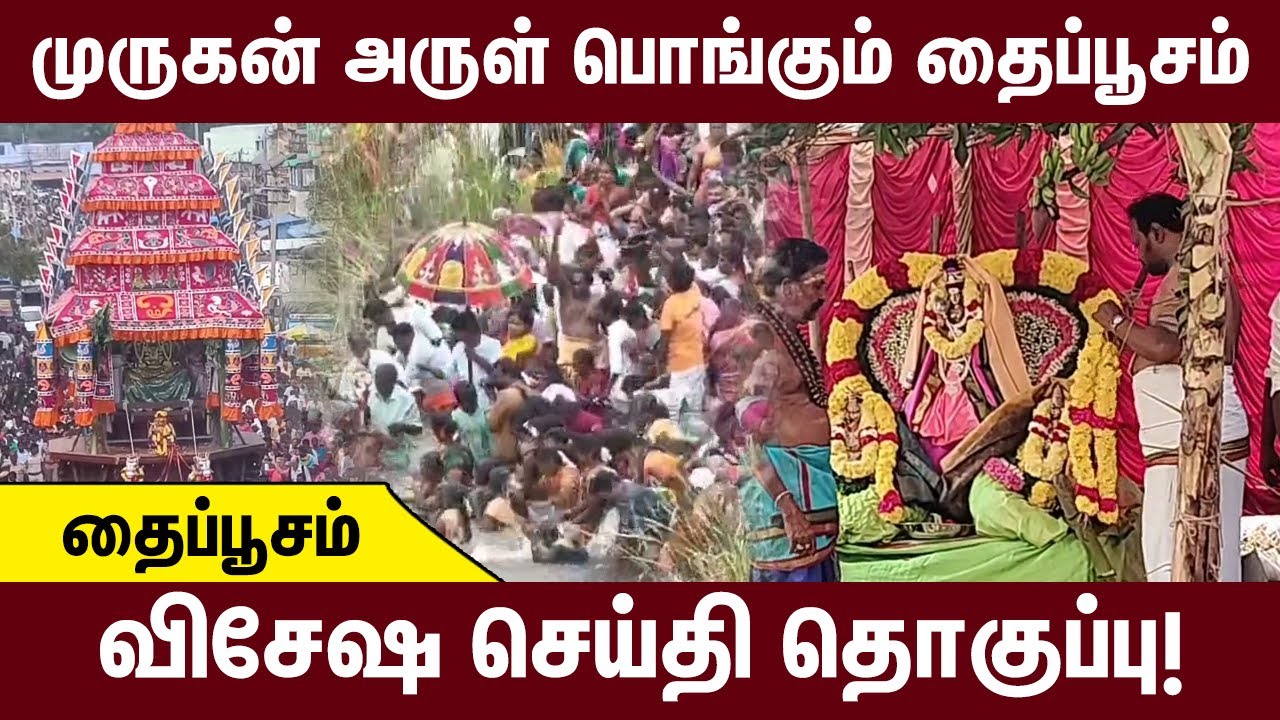 முருகன் அருள் பொங்கும் தைப்பூசம் | ஒரு விசேஷ செய்தி தொகுப்பு! | MURUGAN TEMPLE