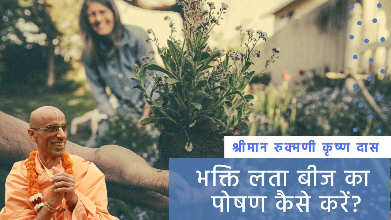 भक्ति लता बीज का  पोषण कैसे करें? | Japa Talk 24 | His Grace Rukmini Krishna Das