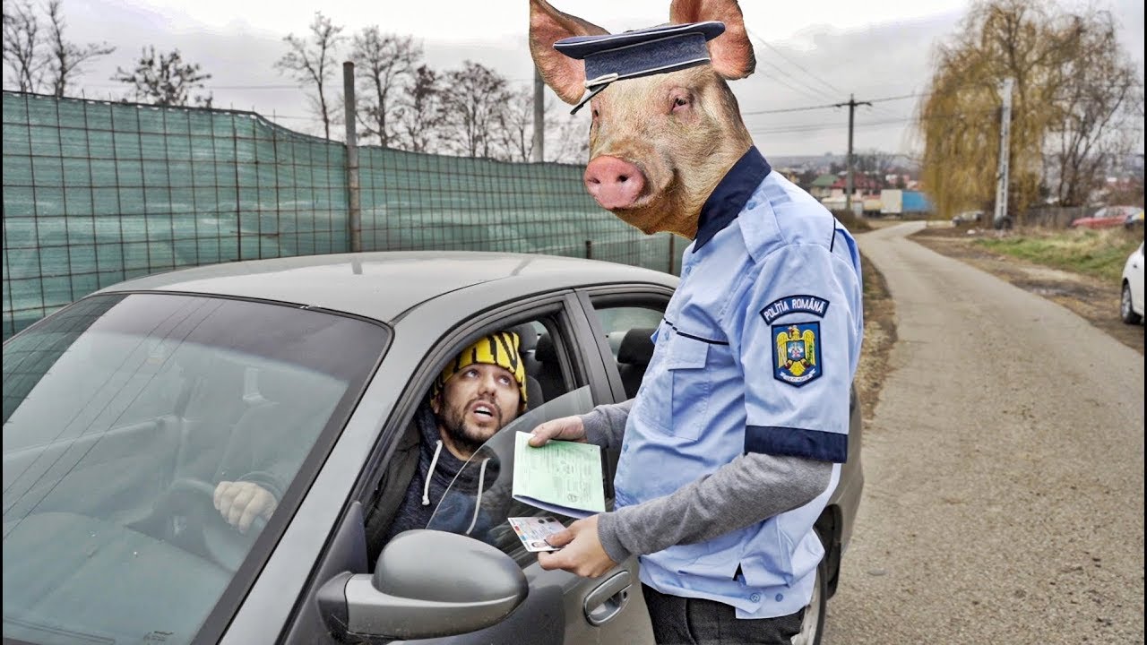 PORCUL DE POLIȚIST (Cauciucuri de iarnă) #3Chestii