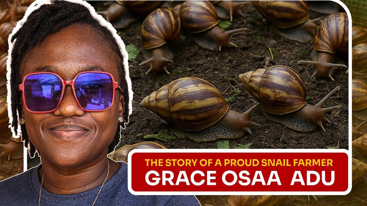 Grace Couldn’t Find a Mentor. So She Became One.