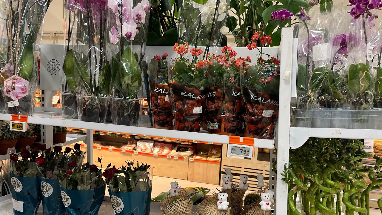 Migros market çiçek fiyatları 
