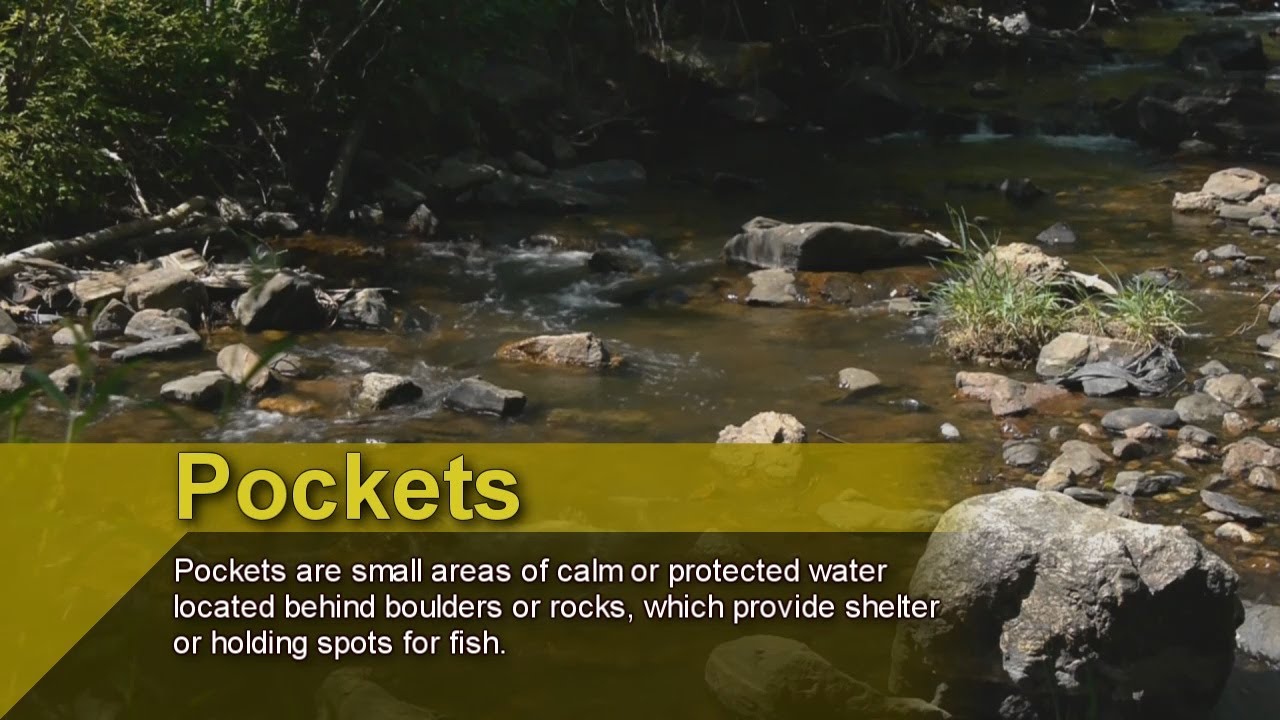 Fly Fishing Small Mountain Streams (Colorado Outdoors Magazine - Video Supplement)