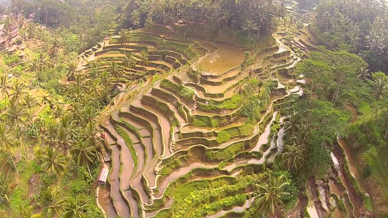 DJI Phantom 2 Vision+ in Bali